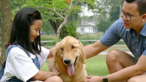 Young girl with a man playing with dog Stock Footage 91477553
