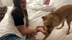 Young Teen Dog Lick