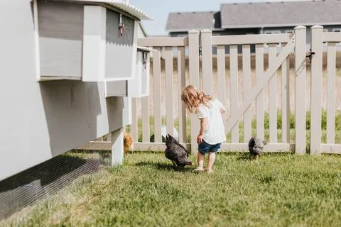 Young girl plays with chickens in her backyard on a sunny day Stock Photos