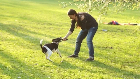 A young girl plays with a dog in the Park. Stock Footage