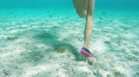 Scuba Girl Stock Videos – Royalty-Free HD & 4K Videos | Pond5