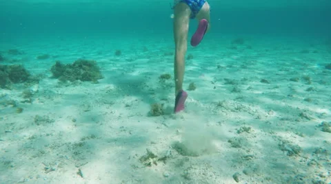 Scuba Girl Stock Footage ~ Royalty Free Stock Videos | Pond5