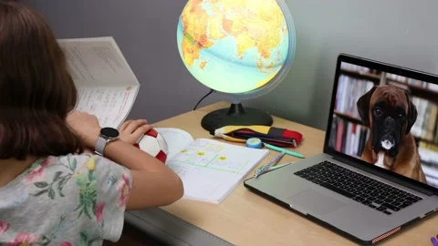 Young girl sitting doing homework and having a video call with her dog. Video stock 140036660