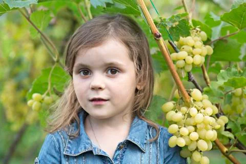 A young girl standing next to a grape vine Stock Photos