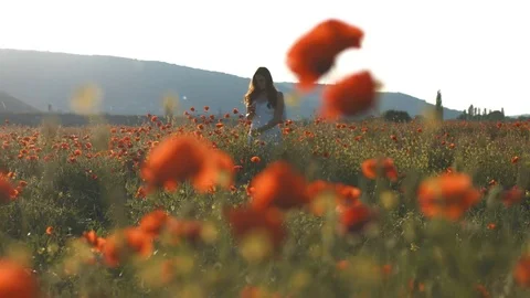 Young girl standing in poppies field at sunset Stock Footage