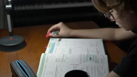 Young Girl is Studying Physics 2  Stock Footage 168300832