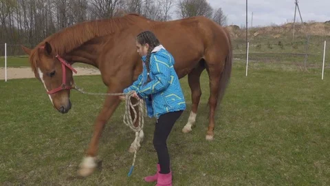 Young girl training her horse outdoors on lawn Stock Footage