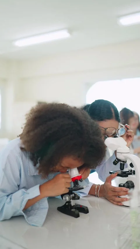 Young girl uses microscope during lab activity 库存影片 343511176