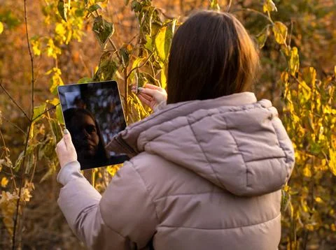 Young girl using small black tablet in autumn forest with fallen leaves and Stock Photos