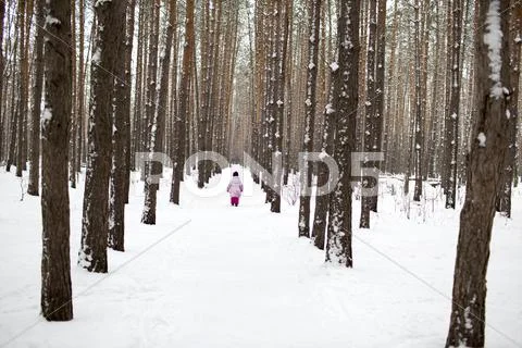 A Young Girl Walking Down A Snow Packed Path In The Forest