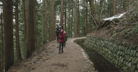 Young girl walking a forest path pokes her tongue out to catch the falling snow Stock-Footage 108330480