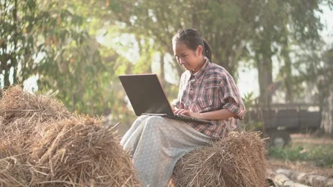 A young girl watching computers, studying information from the internet. Stock-Footage 169848533