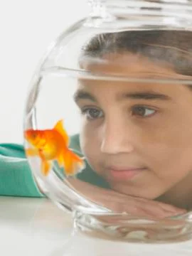Young girl watching a goldfish in a fishbowl Stock Photos