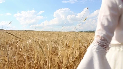 Young girl in wheat fields HD 1080 Stock Footage 111633486