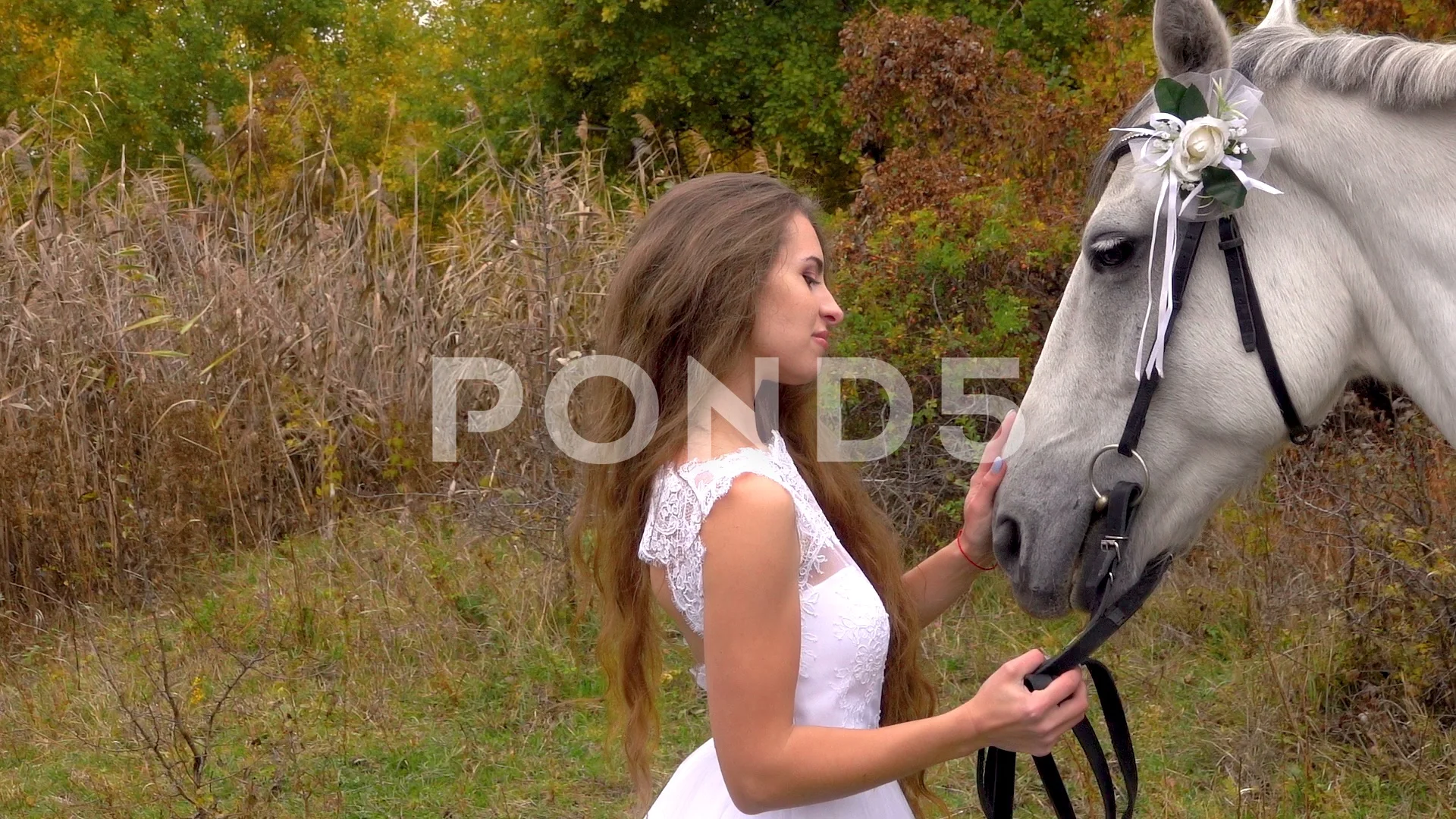 Young girl in white wedding dress stroki... | Stock Video | Pond5 Young Girl In White Wedding Dress Stroki... | Stock Video | Pond5