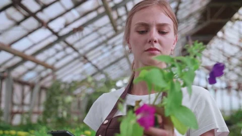 Girl 22Site Stock Footage ~ Royalty Free Stock Videos | Pond5