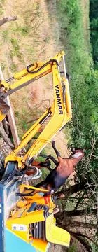 Young goat on construction machine Stock Photos