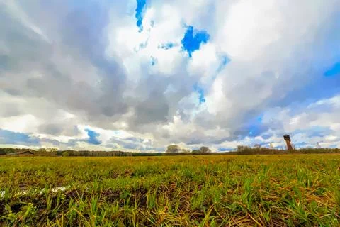 Young grass on a background of clouds in spring. Watercolor illustration. HDR Stock Illustration