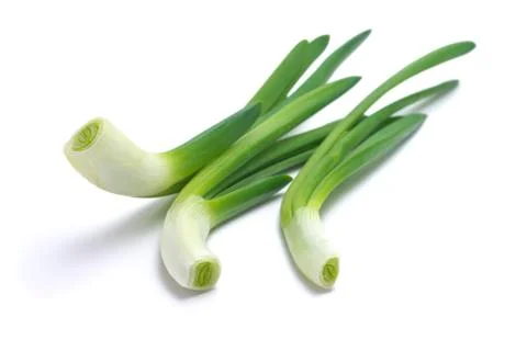 Young green onions Stock Photos