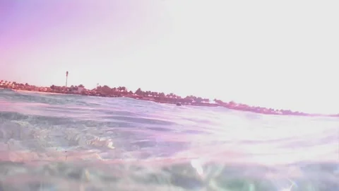 Young Green Sea Turtle Feeding on Seagrass and Surfacing to Breathe Stock-Footage 343729097