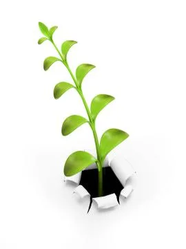 Young green sprout multivalent Stock Illustration