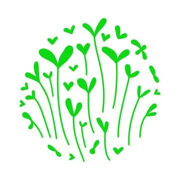 Young green sprouts. Flat vector color illustration isolated on white backg.. Stock Illustration