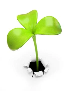 Young green three leaf sprout Stock Illustration