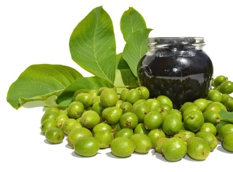 Young green walnut Stock Photos