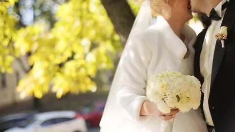 Young groom and a bride hugging on the autumn garden Stock Footage 73925504
