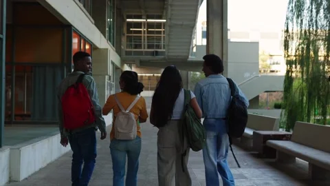 Young group of American students leaving the university campus after classes Stock Footage 288044572