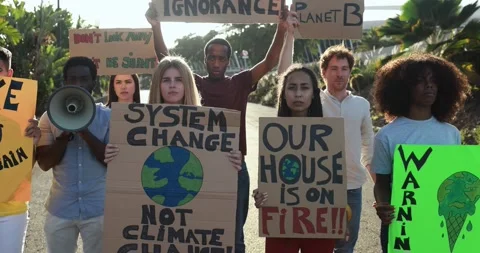 Young group of demonstrators protest for climate change Stock Footage 158221943