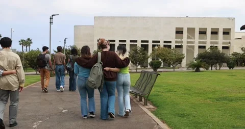 Young group of friends having fun outside with school building on background Stock Footage 203725338