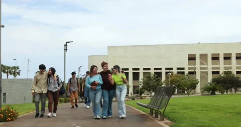 Young group of friends having fun outside with school building on background Stock Footage 203725588