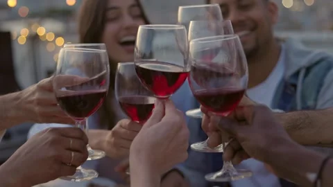 Young group of people drinking red wine at rooftop summer party in the evening Stock Footage 246607811