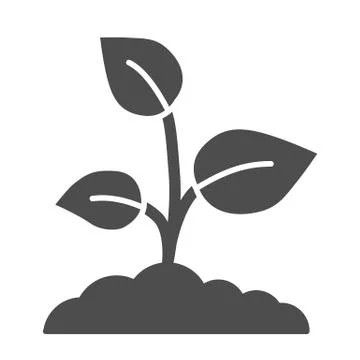 Young growth with three leaves solid icon, nature concept, Sprout symbol on Stockillustratie