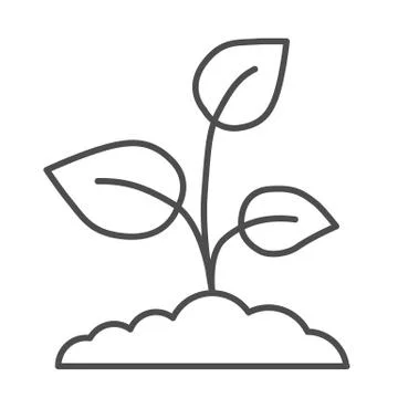 Young growth with three leaves thin line icon, nature concept, Sprout symbol on Stock Illustration