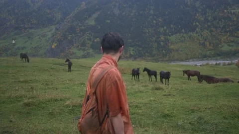 A young guy after the rain looks at the pasture with horses Video stock 194045499