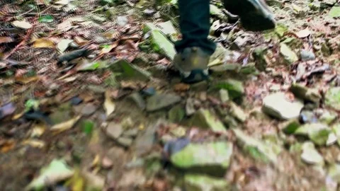 A young guy with a backpack   Hiking in mountain road, Forest,Journey. Stock Footage 80706924