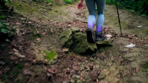 A young guy with a backpack   Hiking in mountain road, Forest,Journey. Stock Footage 80707864