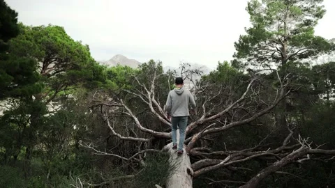 A young guy in a cap walks on a fallen tree in Montenegro Video stock 193651465
