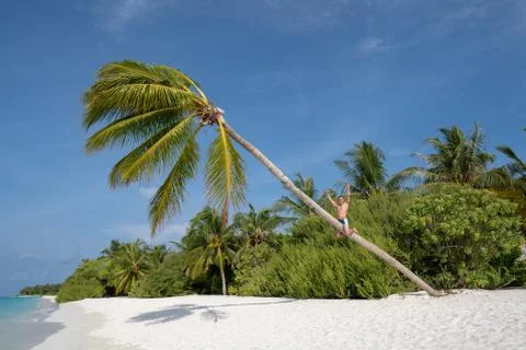 A young guy climbed a palm tree. In the background is turquoise water Stock Photos