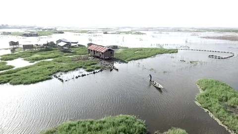 Young guy driving pirogue in lake channels Stock Footage 87086846