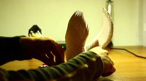 Young Guy Folding  3D Origami Video stock 42431427