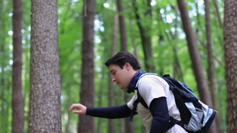 Young guy in forest looks around and walk in sportswearlong panoramic shot Vidéo 252515487