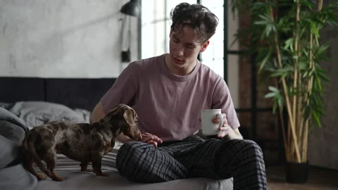 Young guy is having good time with cute pet and sitting on bed in home bedroom Stock Footage 197771693
