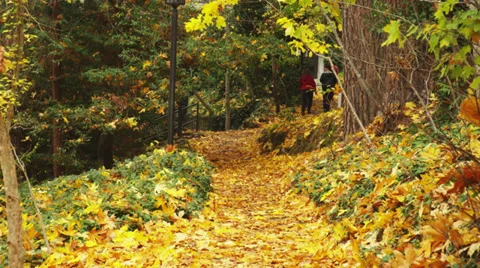 Young Guy Jogging Down Path in Park Video stock 35325507