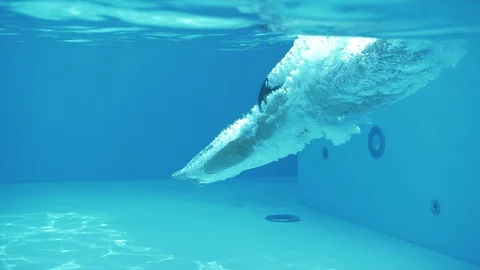 Young guy jumping under the water in a pool with blue water Stock Footage 102652465