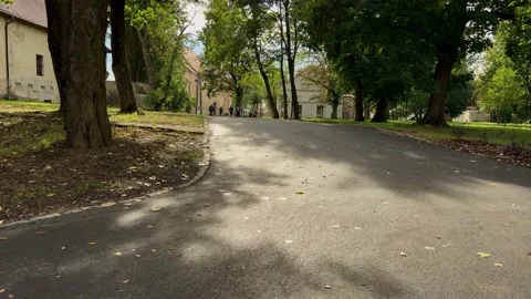 A young guy jumps and does tricks on a scooter in a park Stock Footage 230619879