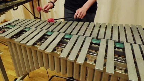 A young guy playing the vibraphone at a music school. Video stock 143785717