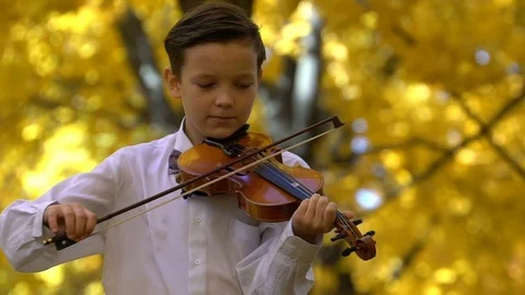 Young guy playing the violin in the autumn park Stock Footage 81006755